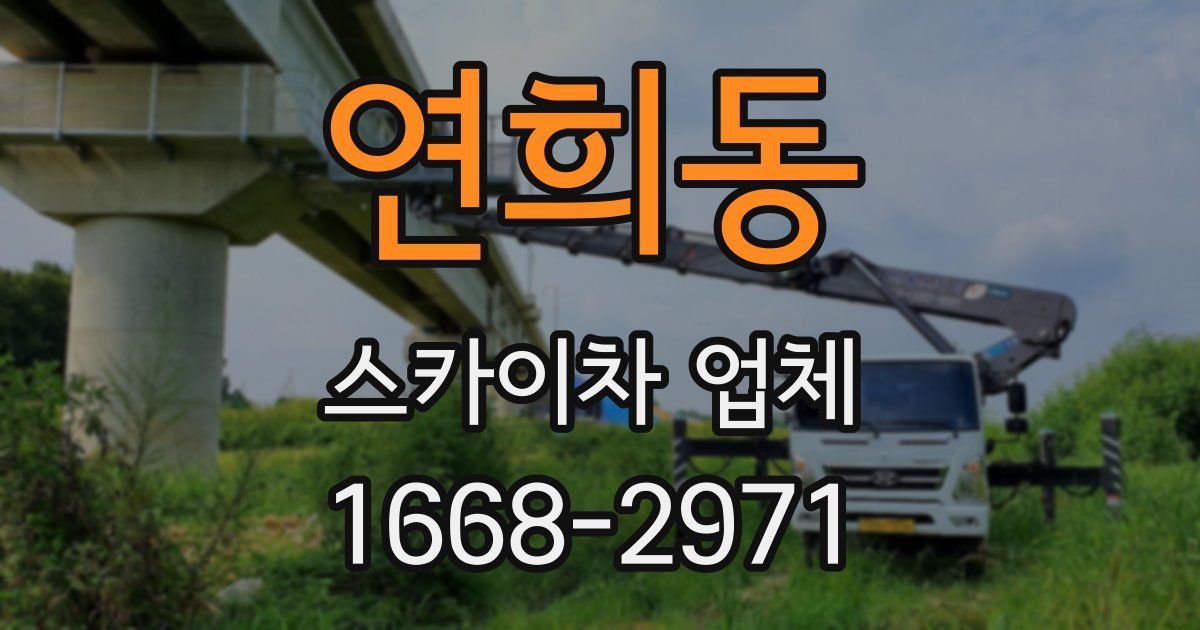 연희동 스카이차 업체