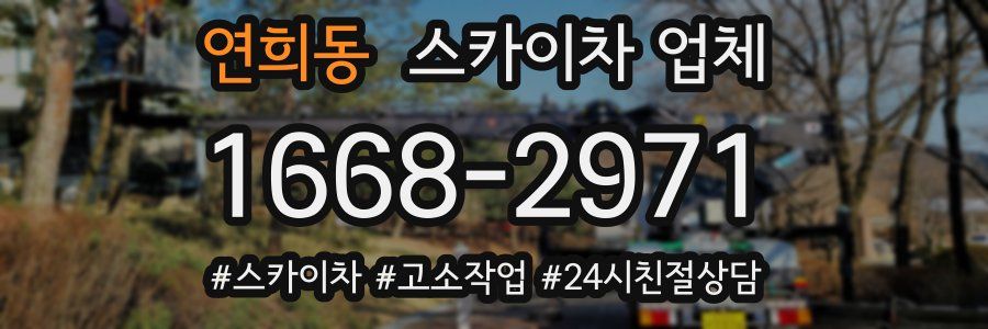 연희동 스카이차 업체