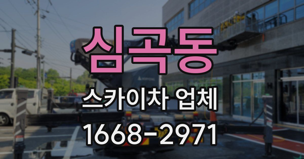 심곡동 스카이차 업체