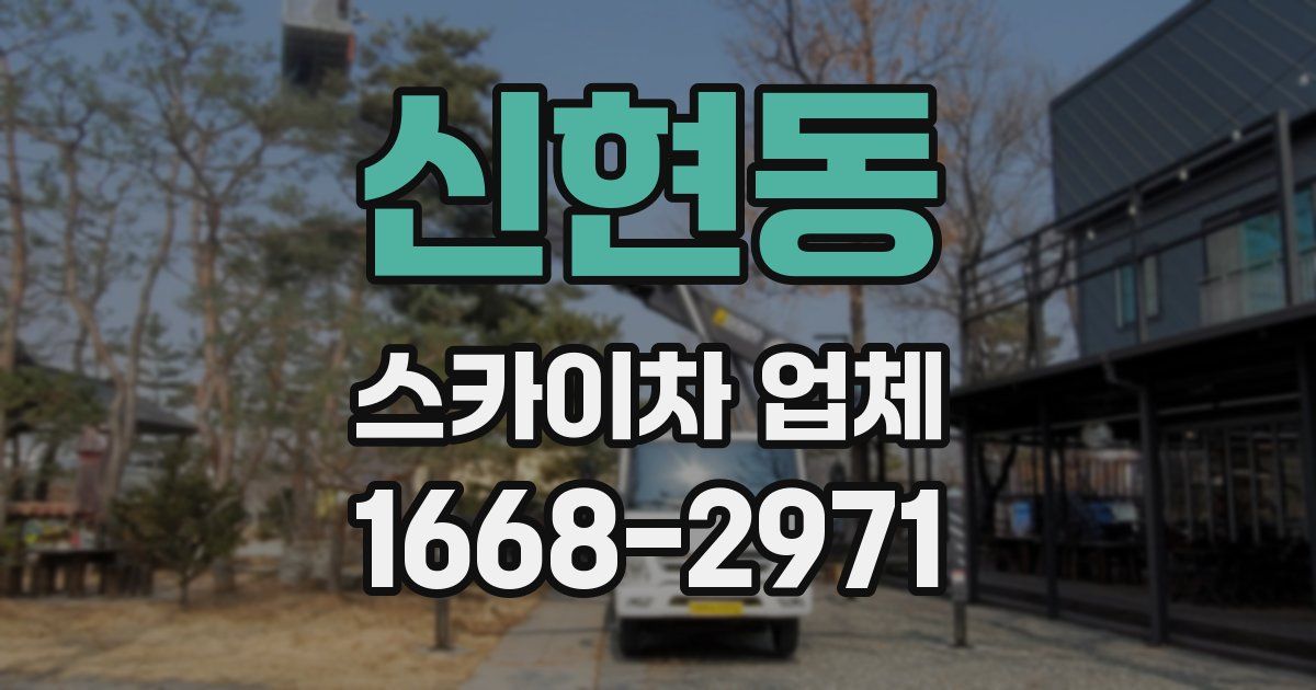 신현동 스카이차 업체