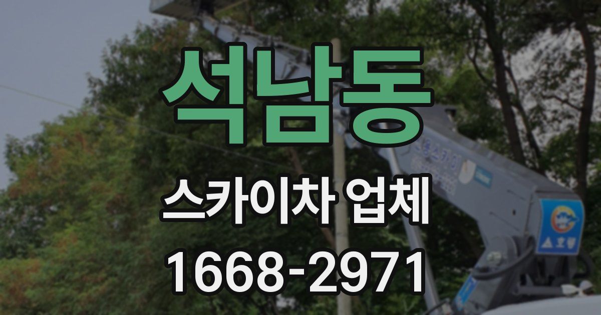 석남동 스카이차 업체