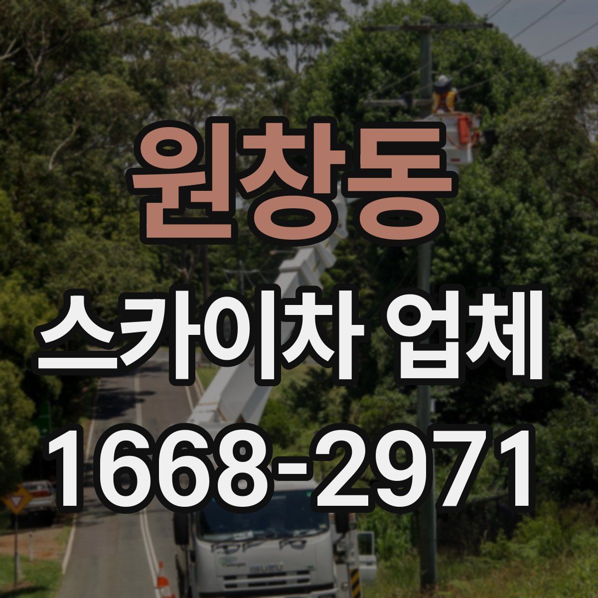 원창동 스카이차 업체