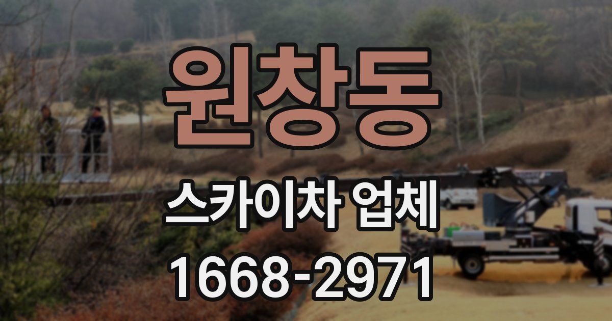 원창동 스카이차 업체