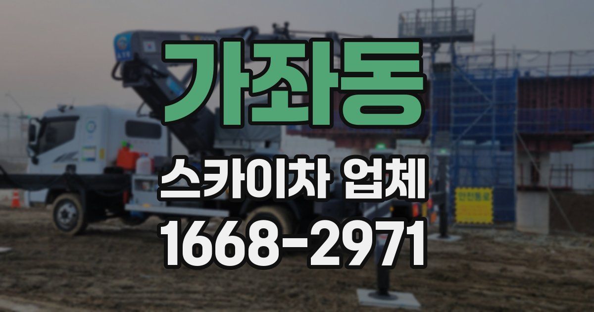 가좌동 스카이차 업체