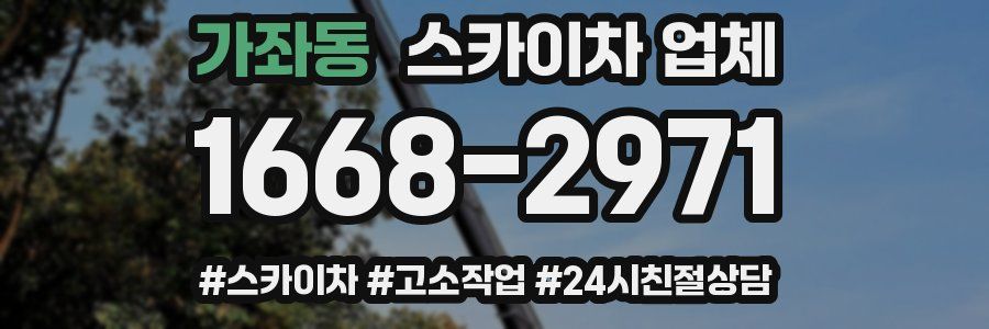 가좌동 스카이차 업체