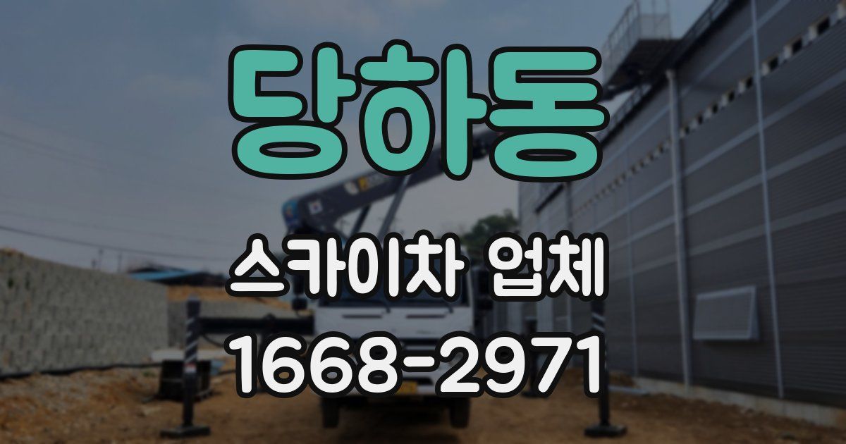 당하동 스카이차 업체