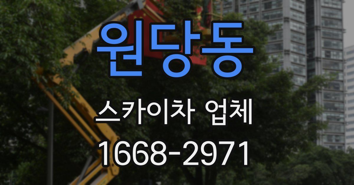 원당동 스카이차 업체