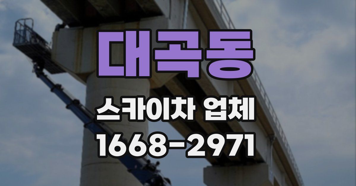 대곡동 스카이차 업체