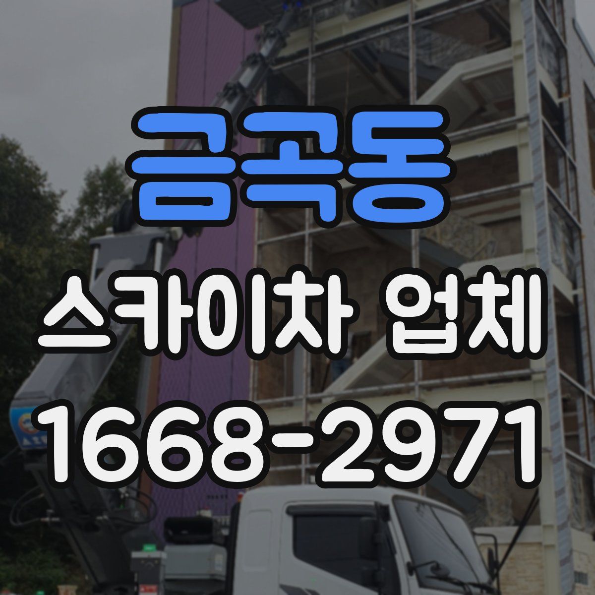 금곡동 스카이차 업체