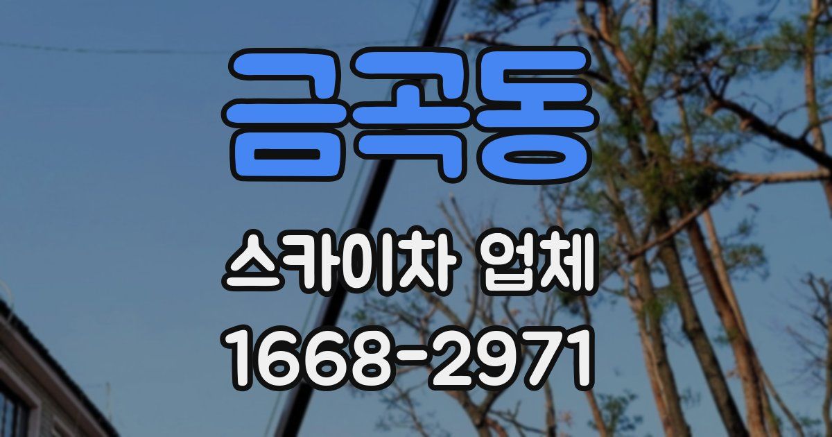 금곡동 스카이차 업체