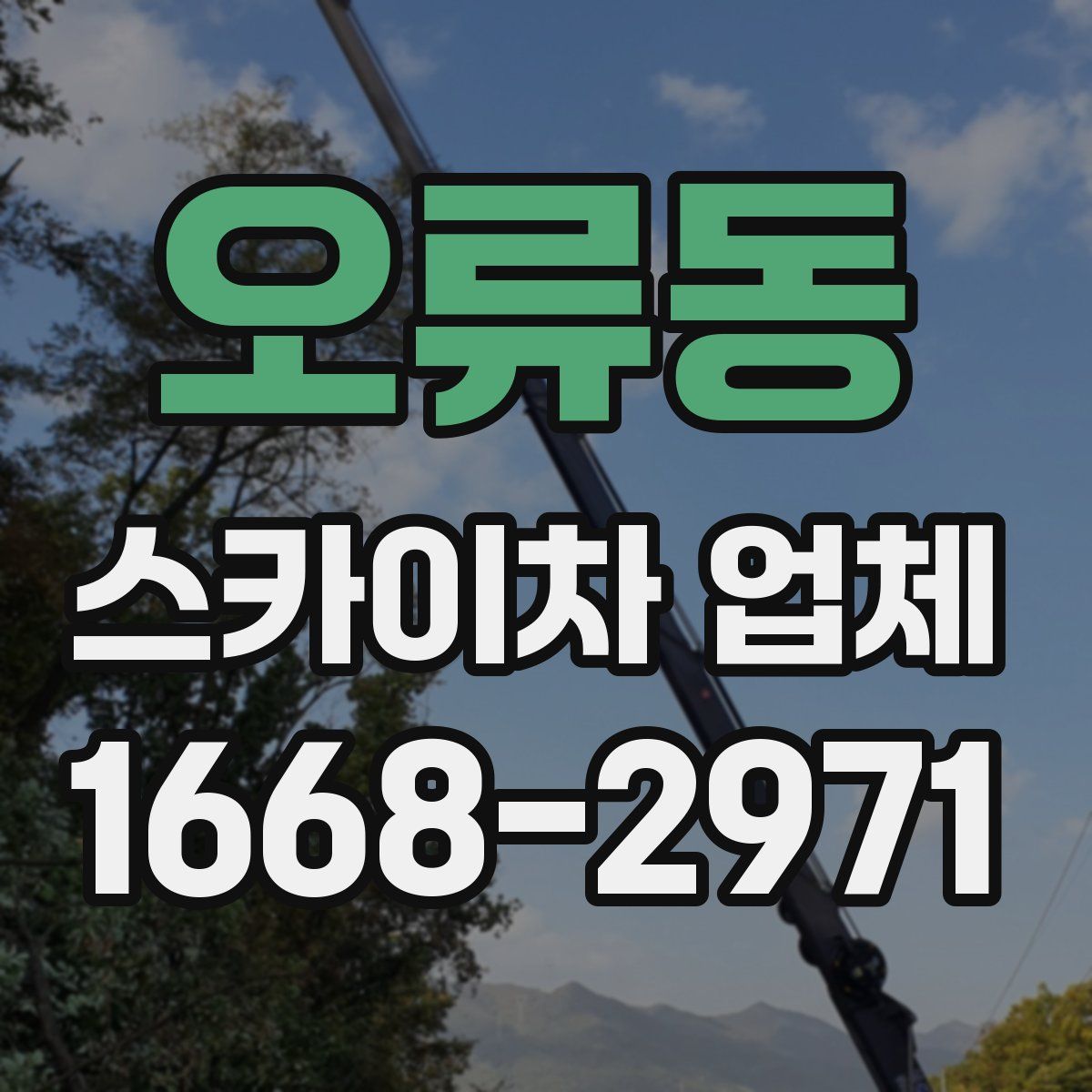 오류동 스카이차 업체