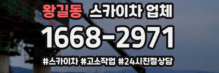 왕길동 스카이차 업체