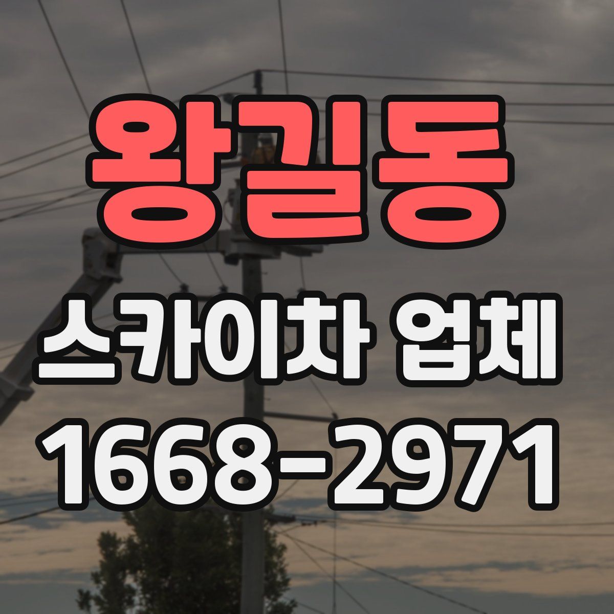 왕길동 스카이차 업체