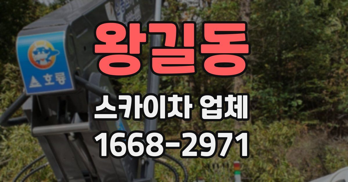 왕길동 스카이차 업체