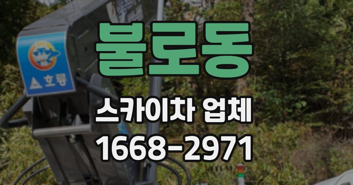 불로동 스카이차 업체