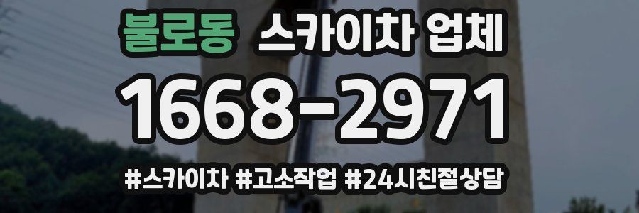 불로동 스카이차 업체