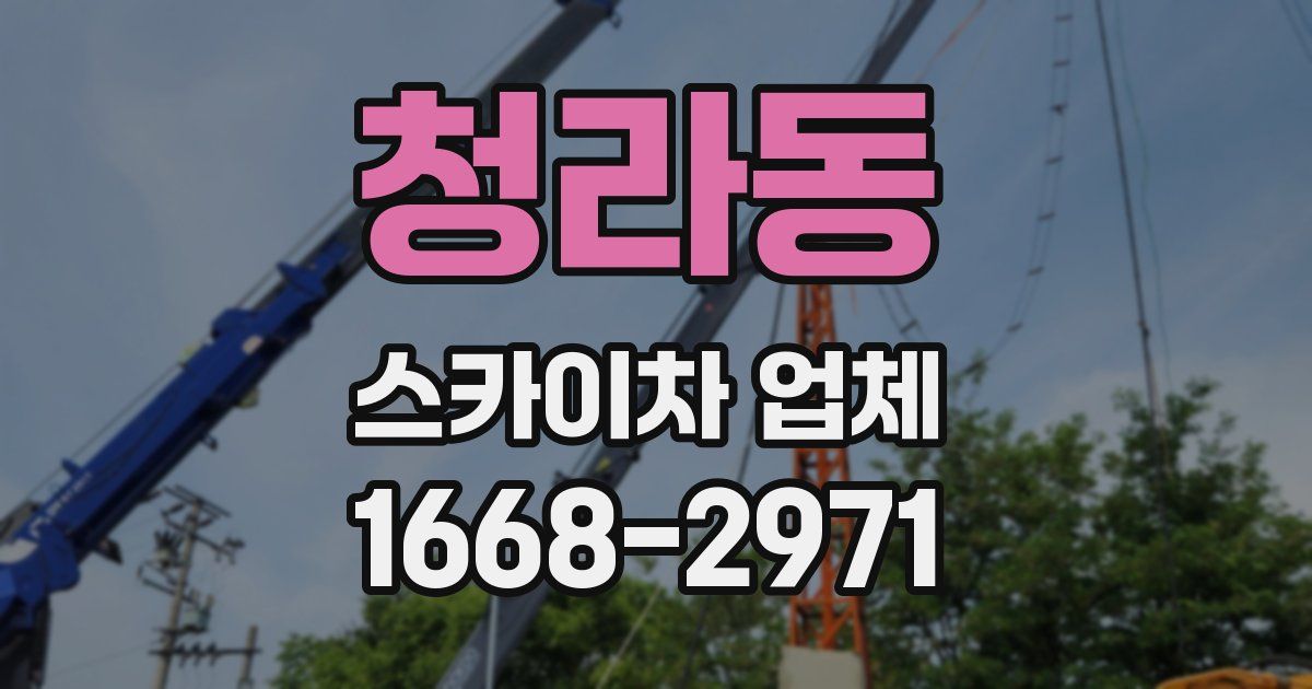 청라동 스카이차 업체