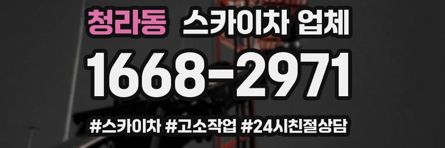 청라동 스카이차 업체