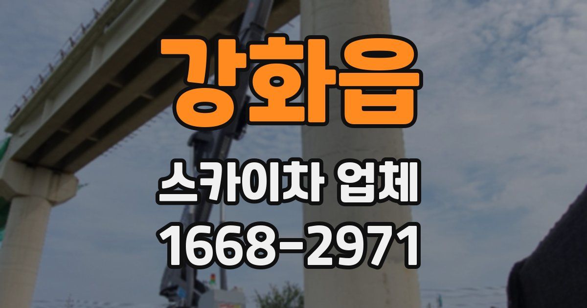 강화읍 스카이차 업체