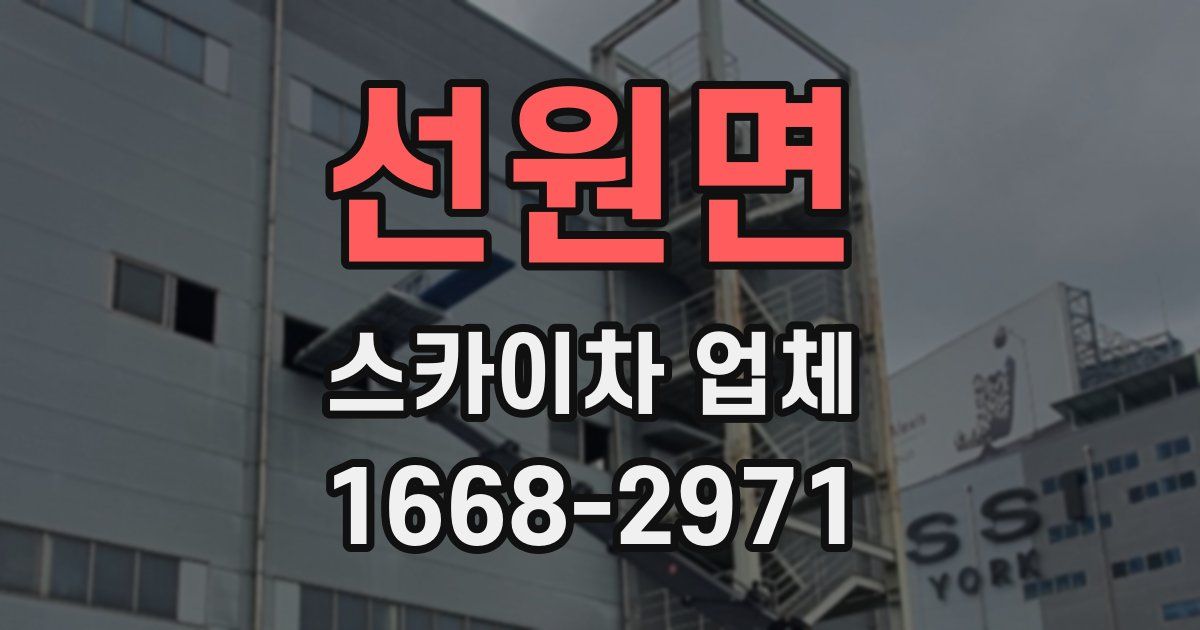 선원면 스카이차 업체