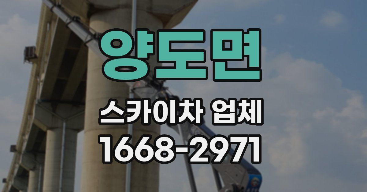 양도면 스카이차 업체