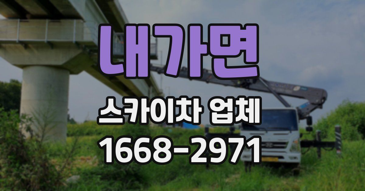 내가면 스카이차 업체