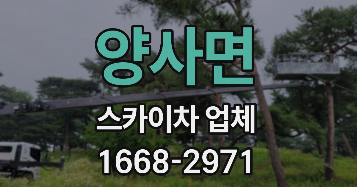 양사면 스카이차 업체
