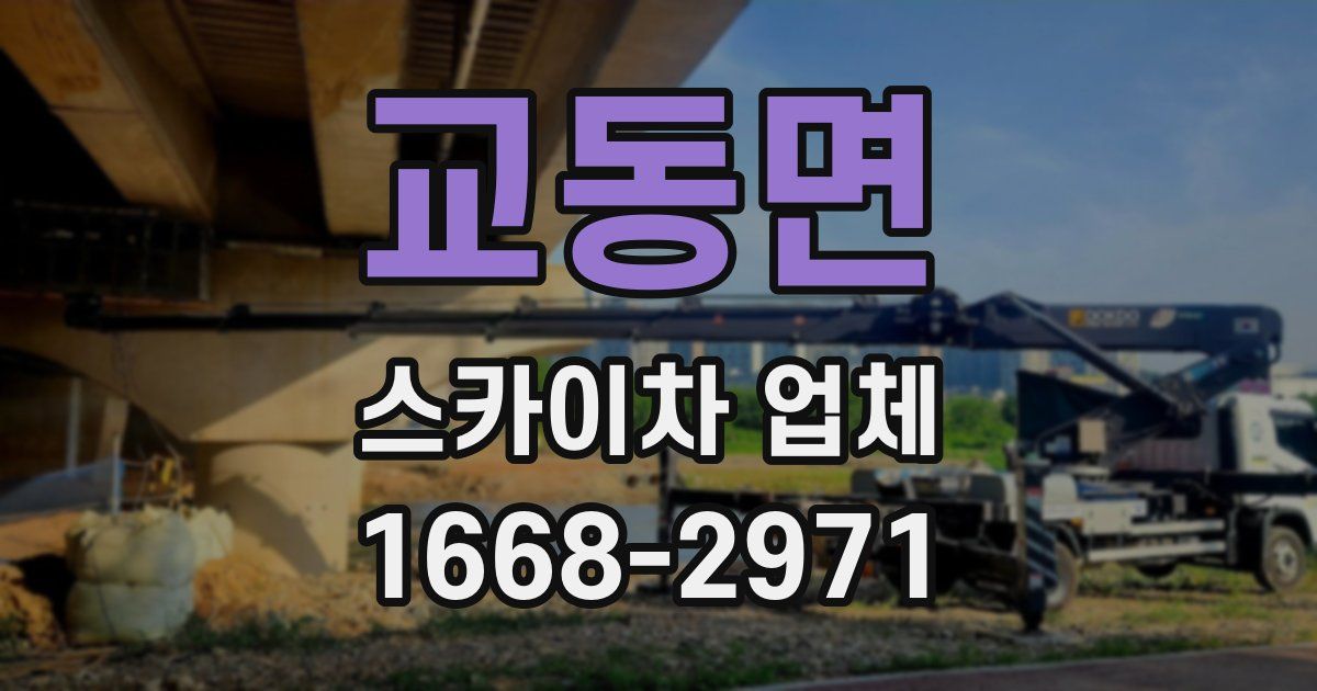 교동면 스카이차 업체