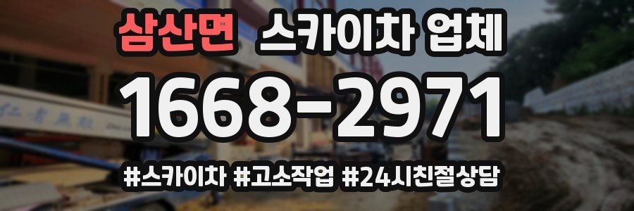 삼산면 스카이차 업체
