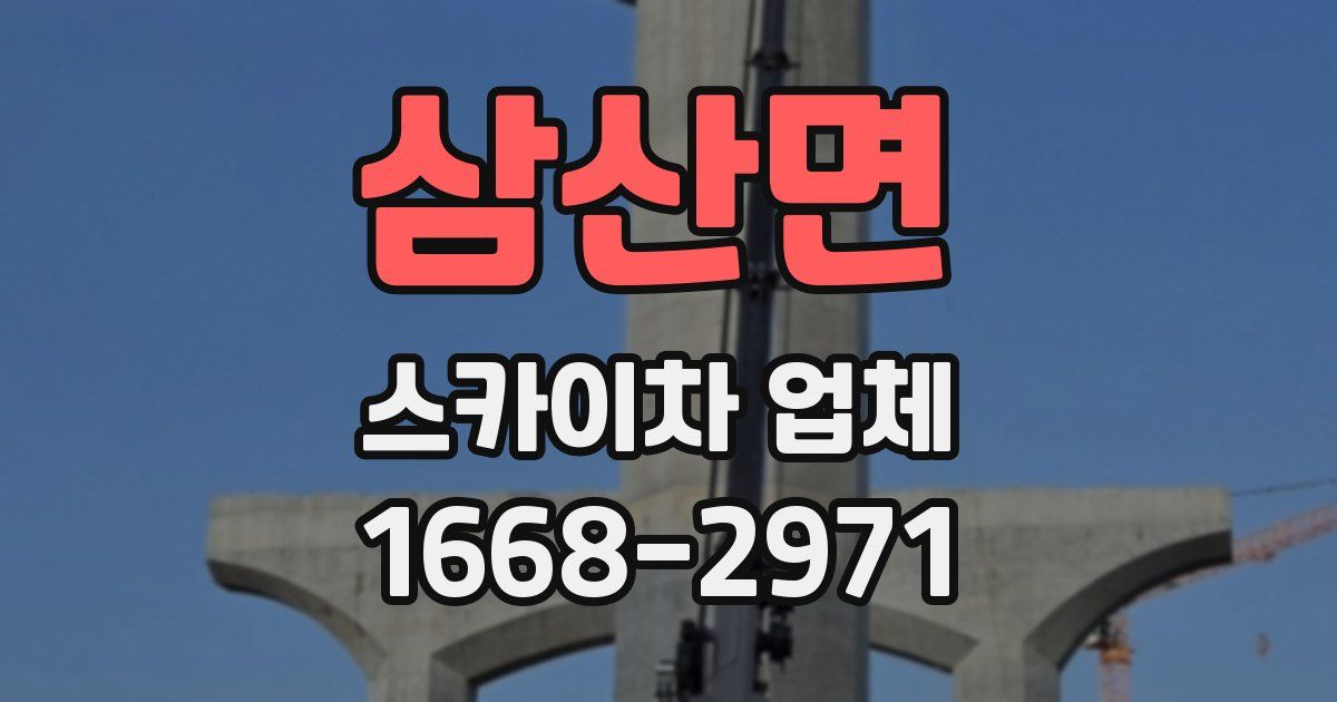 삼산면 스카이차 업체