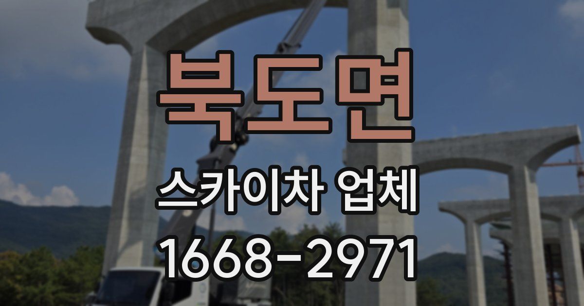 북도면 스카이차 업체