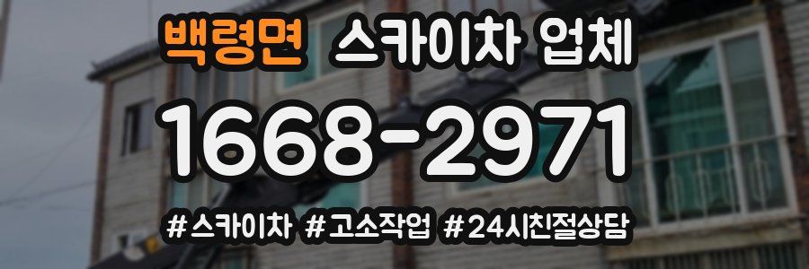 백령면 스카이차 업체