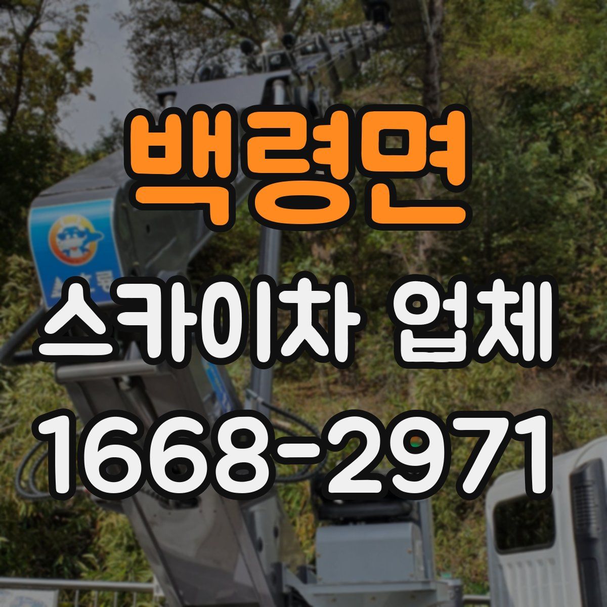 백령면 스카이차 업체
