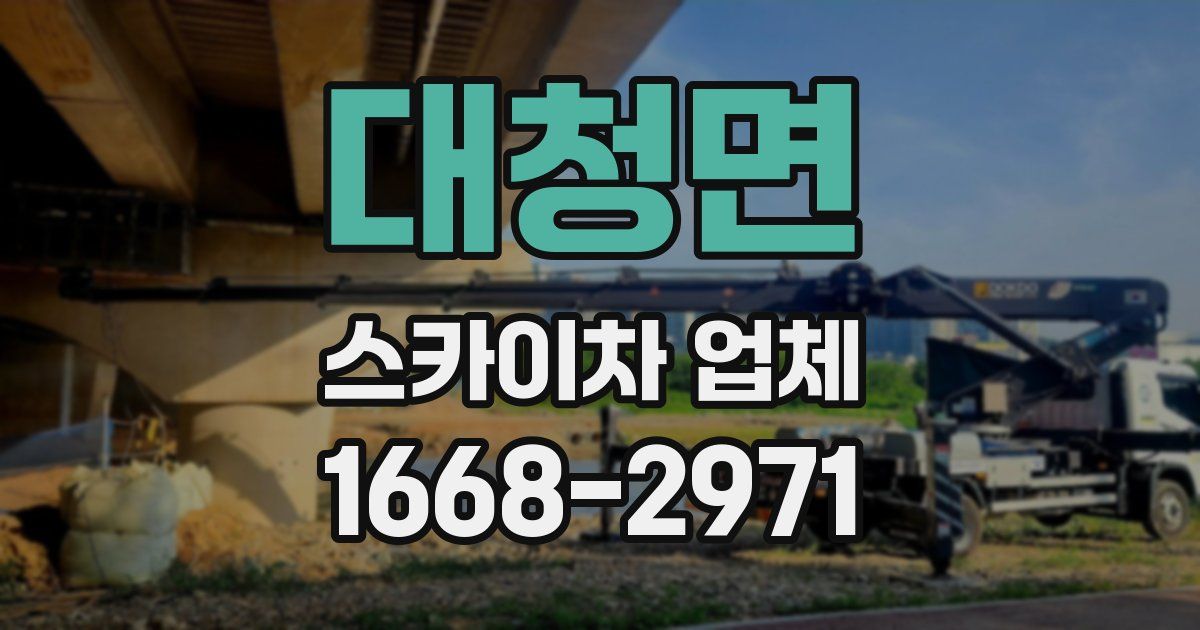 대청면 스카이차 업체