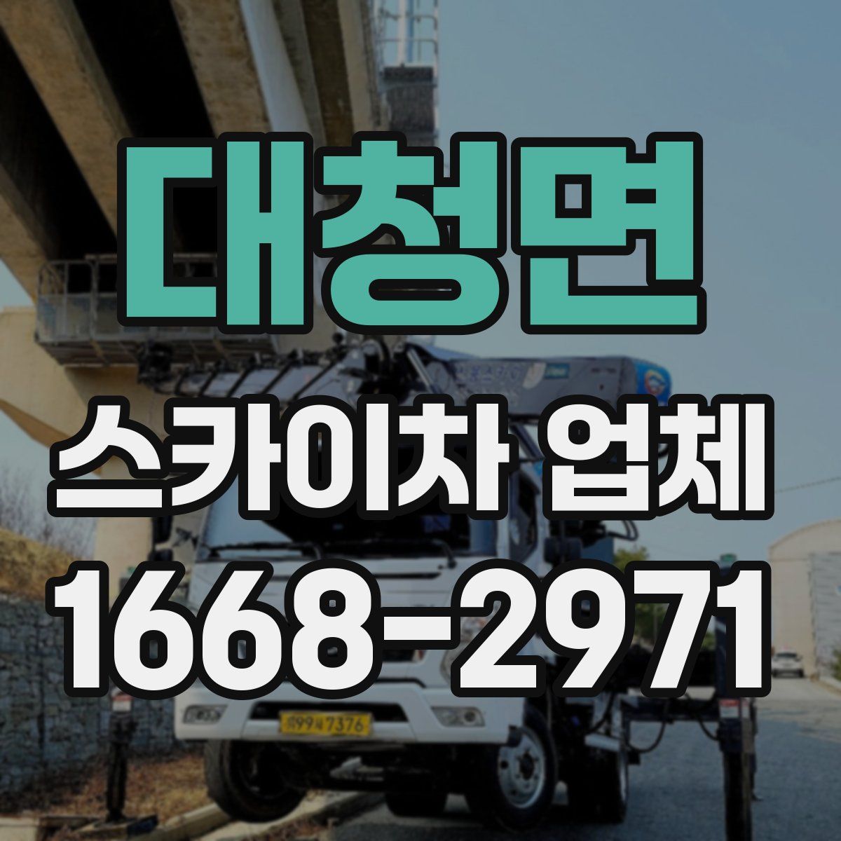 대청면 스카이차 업체