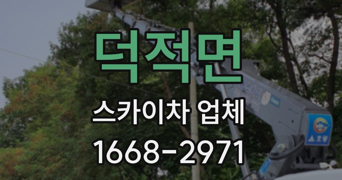 덕적면 스카이차 업체