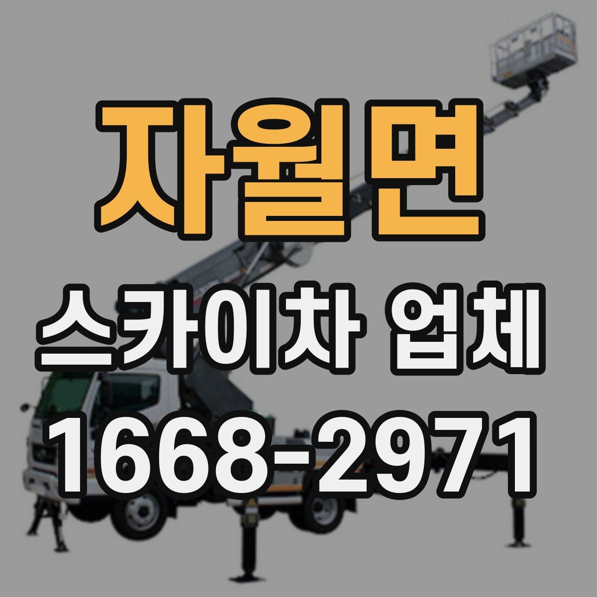 자월면 스카이차 업체