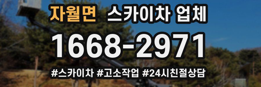 자월면 스카이차 업체
