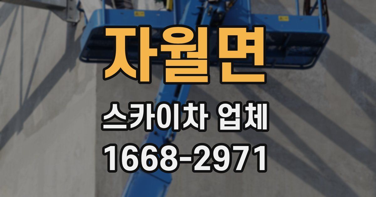 자월면 스카이차 업체