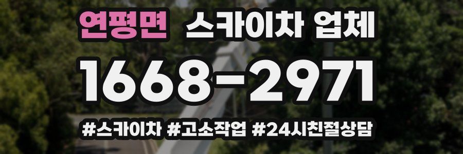 연평면 스카이차 업체