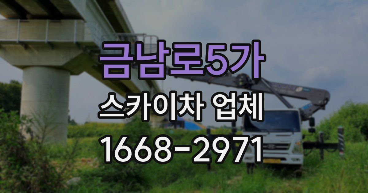 금남로5가 스카이차 업체