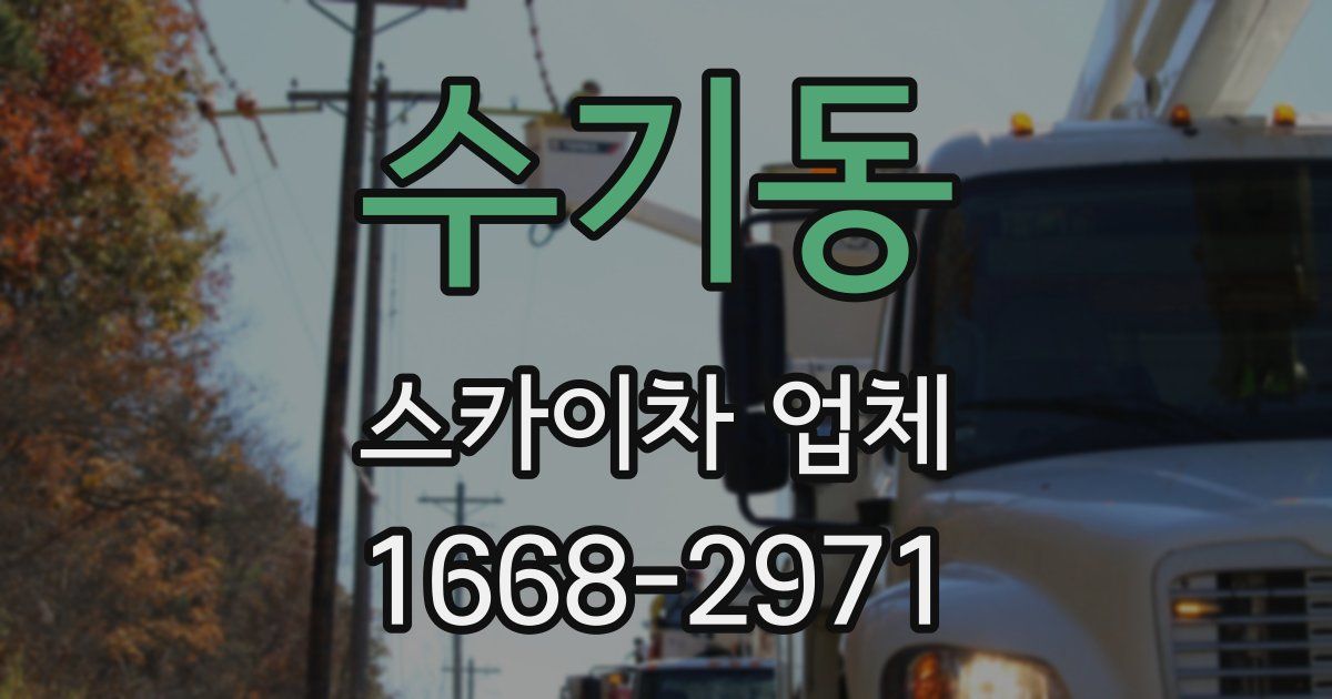 수기동 스카이차 업체