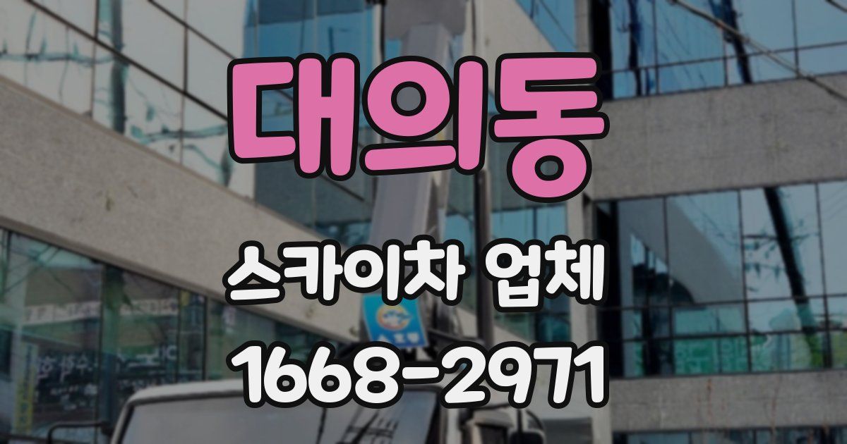 대의동 스카이차 업체