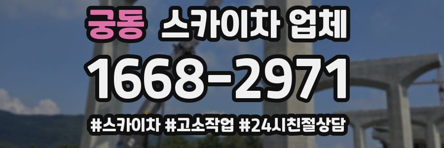 궁동 스카이차 업체