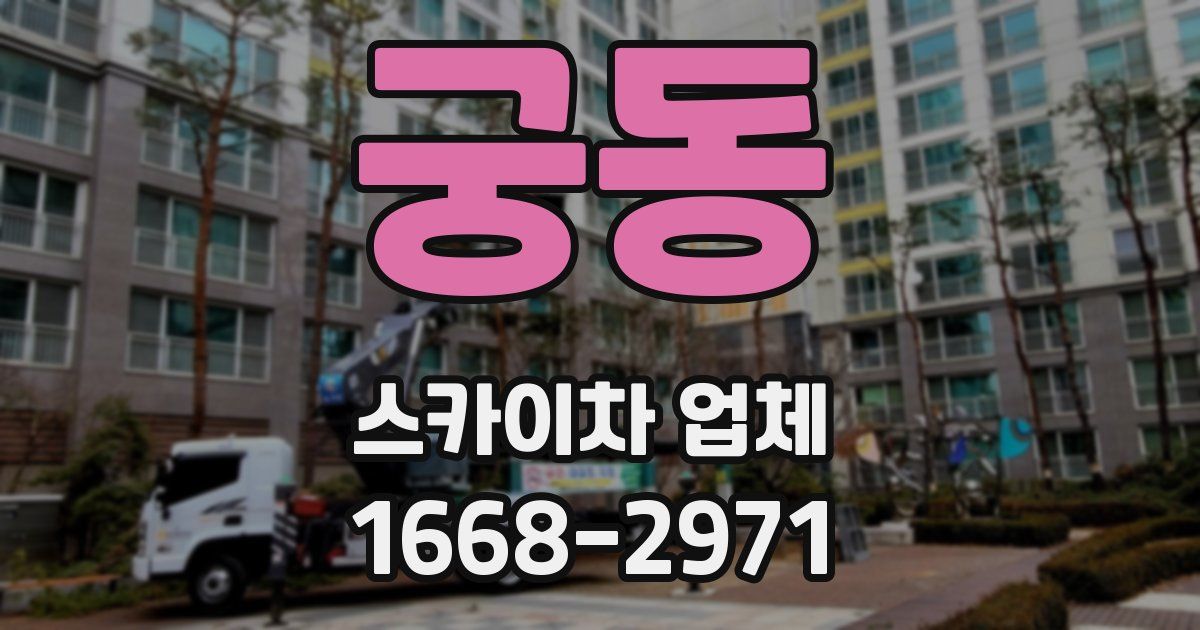 궁동 스카이차 업체