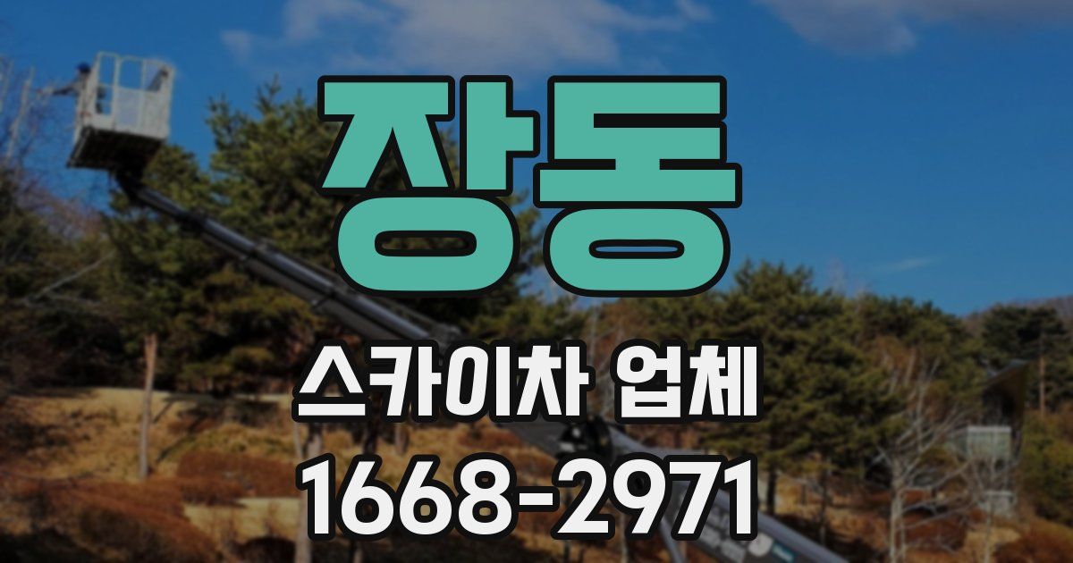 장동 스카이차 업체