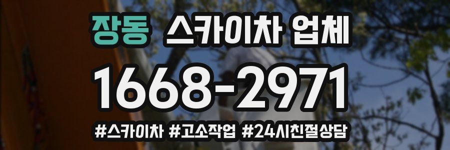 장동 스카이차 업체