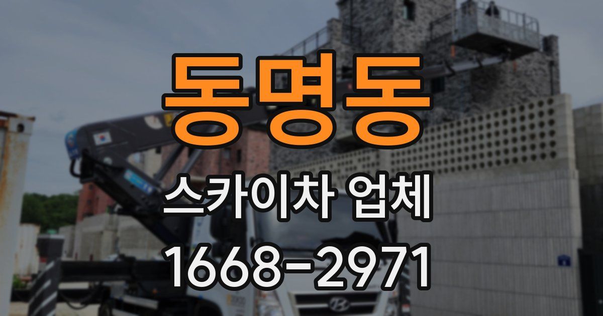 동명동 스카이차 업체