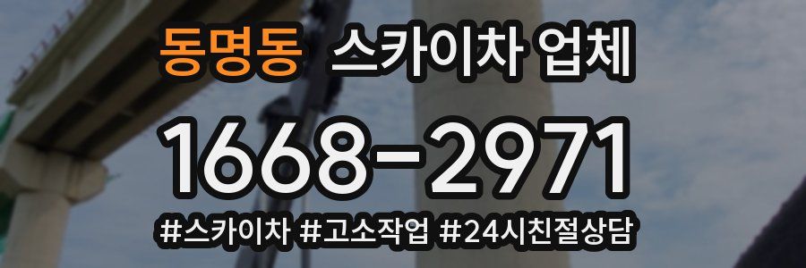 동명동 스카이차 업체