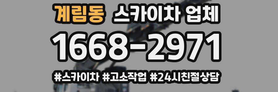 계림동 스카이차 업체